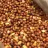 Cacahuate Cantinero 1 Lb