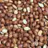 Cacahuate Saladito Bulto 11 Lbs