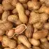 Cacahuate Tostado (Arpilla amarilla) 50 lb