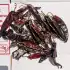 Chile Guajillo Mexicano Caja 25 Lbs
